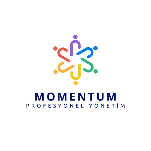 Momentum Yönetim